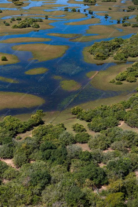 Aquidauana Mato Grosso Do Sul Brasil Vista Aérea Dos Pantanais