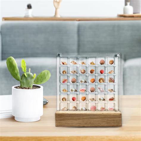 Seashell Display Case With Solid Wood Base 36 Grids