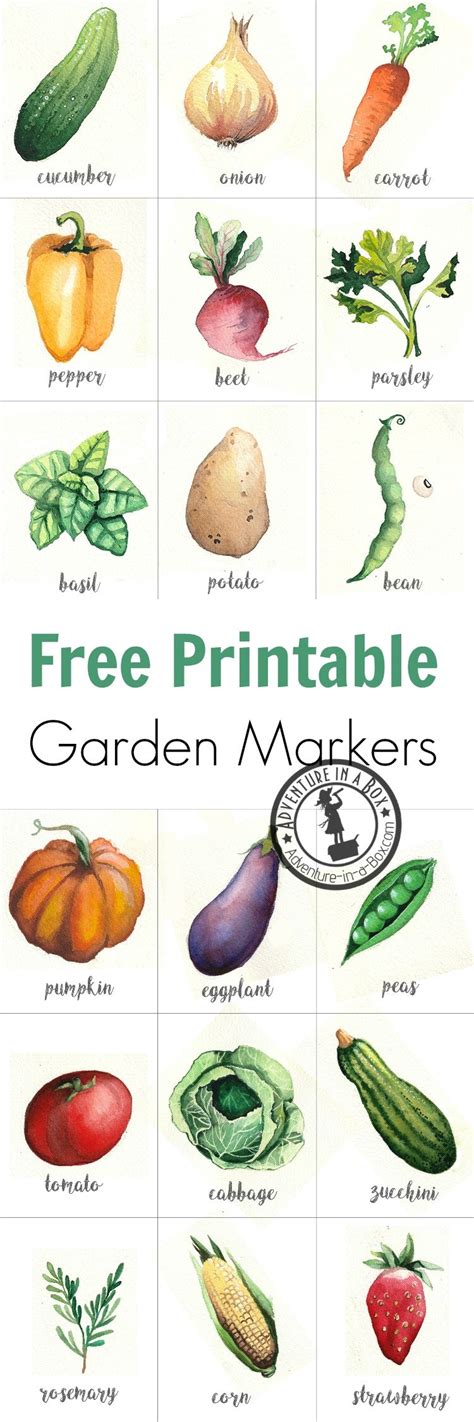 Free Printable Watercolour Garden Markers Adventure In A Box