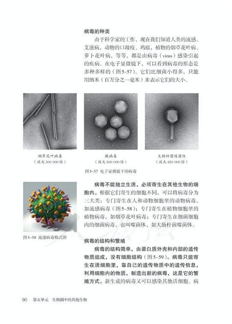 第五章 病毒2013年审定人教版八年级生物上册（高清）初中课本 中学课本网