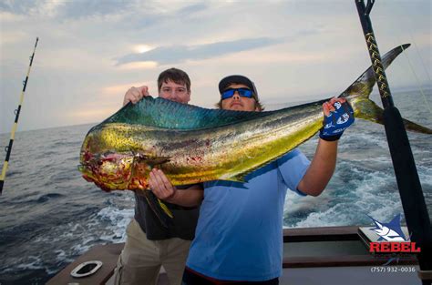 Virginia Beach Fishing News - Offshore Fishing Charters Virginia Beach