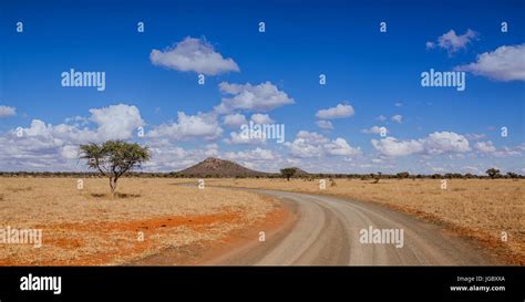 A savanna landscape in the Northern Cape, South Africa Stock Photo - Alamy