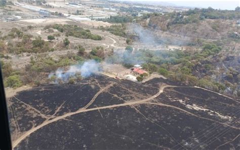 Incendio En Bosque La Primavera Con Nuevo Siniestro Forestal Se