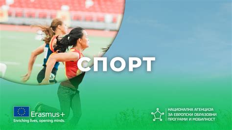 Спорт