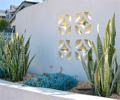 yard privacy ideas 6