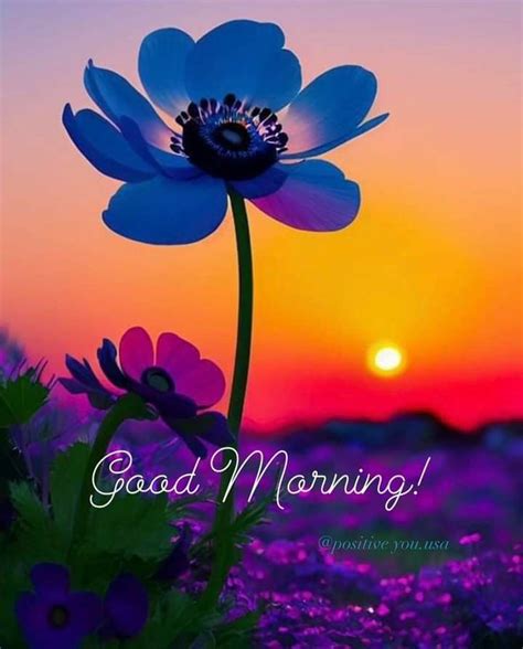 Pin By Itzy Rose On Greetings Wallpaper Good Morning Good Morning