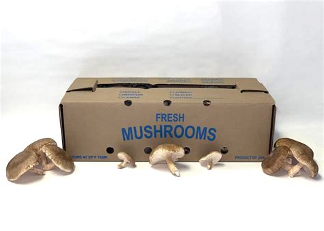 Item No 1066 5 To 10 Lb Mushroom Box 250 Pack 5 To 10 Lb Mushroom Box