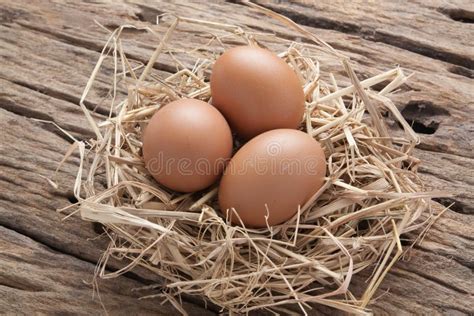 Egg In Hay Nest On Old Wooden Stock Photo Image Of Breakfast White