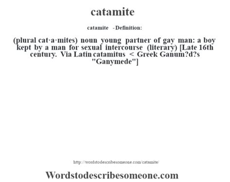 Catamite Definition Catamite Meaning Words To Describe Someone