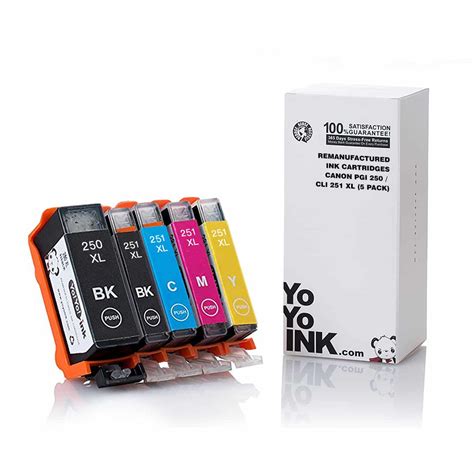 Compatible Canon PGI 250 Canon 251 Ink Cartridges 5 Pack