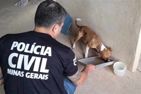 Cachorro V Tima De Maus Tratos Resgatado Pela Pol Cia Civil Em Juiz