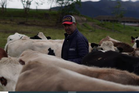 Subastar Ecuador Revista Gen Tica Bovina Colombiana