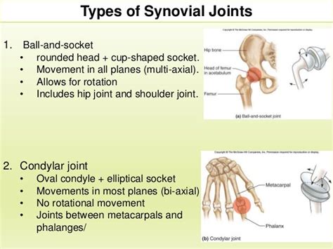 Section 1 Chapter 8 Joints