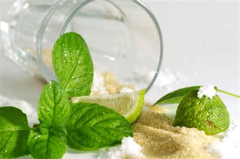 Mojito ingredients stock image. Image of lime, macro - 25237191