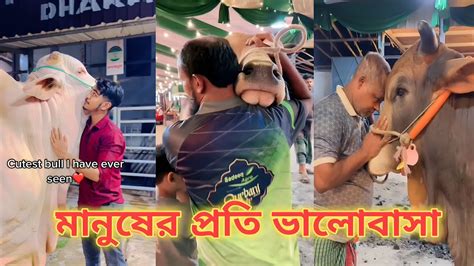 কুরবানী পশু মানুষের প্রতি ভালোবাসা সেরা ১০ টি কুরবানী পশুর ভালোবাসা Youtube