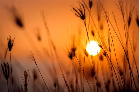 Cu Les Son Las Consecuencias De Las Altas Temperaturas En El Mundo