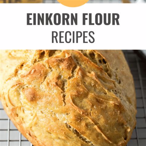 Einkorn Flour Recipes I Can T Resist Happy Muncher