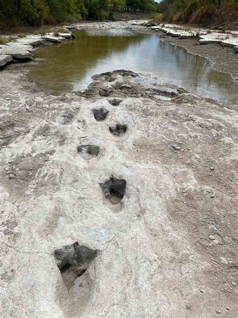 Dinosaur Footprints