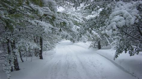 Only Place To See Snowfall In South India Kashmir Of Ap Lambasingi