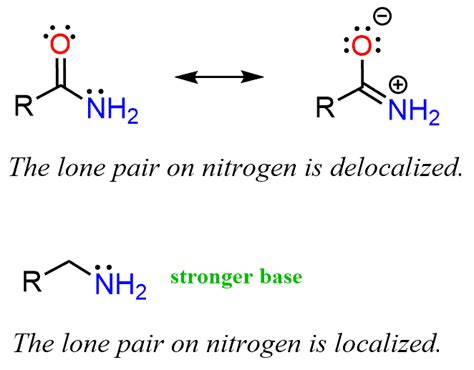 Basicity Of Amines Chemistry Steps