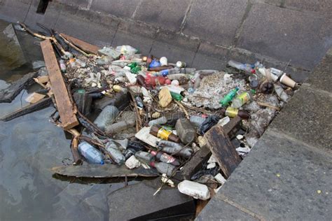 Contaminaci N Pl Stica Pila De Basura Flotante Atrapada Por Una