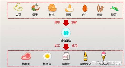 食品网红赛道再发力，一文读懂植物基 知乎