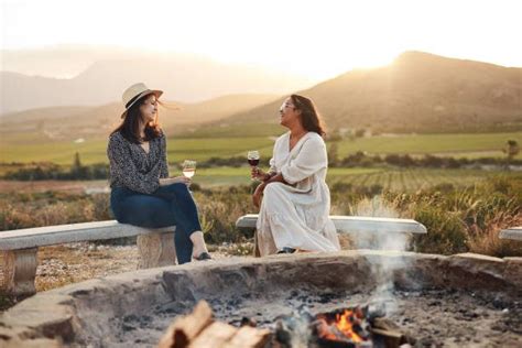 Los Mejores Vinos De Sud Frica Una Gu A Para Descubrir Sus Sabores Y