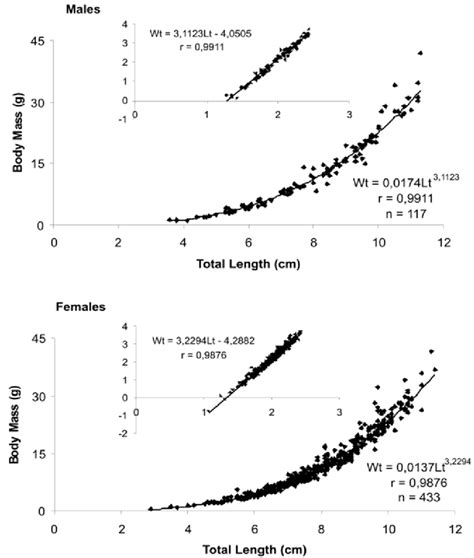 Relation Between Body Length And Body Mass In Males And Females Of