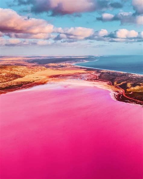 pink lake  stunning natural  pink lake australia western