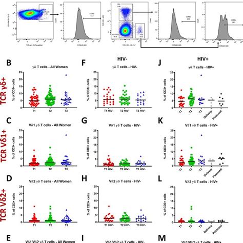 Cd4 T Cells Cd8 T Cells And Cd4cd8 Ratio Throughout Pregnancy