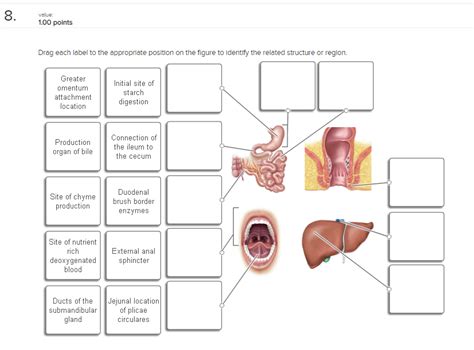 Solved Drag Each Label To The Appropriate Position On The Chegg