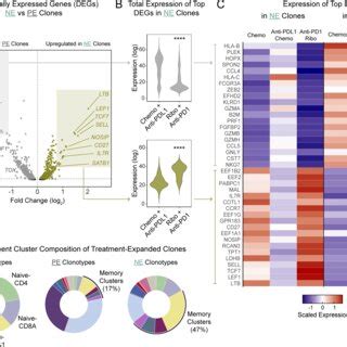 Novel Expanded Clones Arising Upon Blockade Of The PD 1 PD L1 Axis