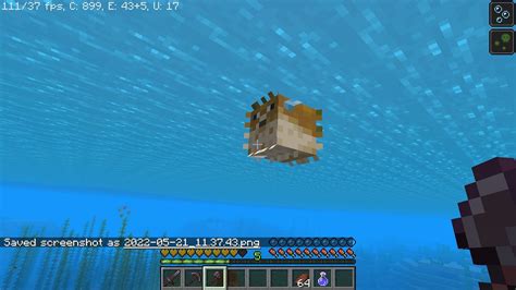 How Rare Are Pufferfish In Minecraft