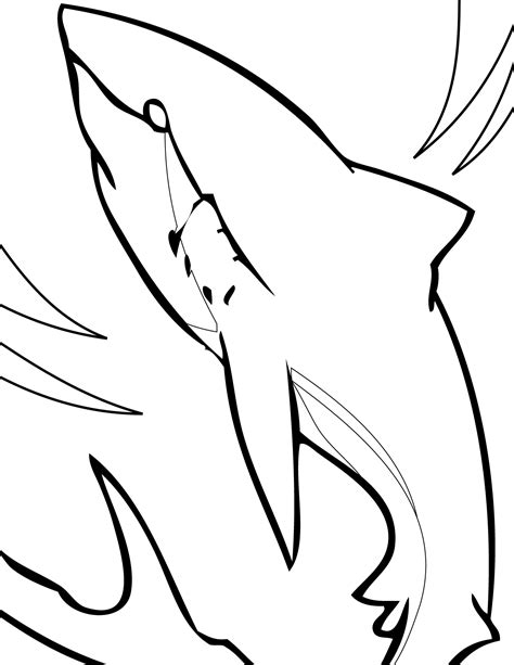 Thresher Shark Coloring Page At Getdrawings Free Download