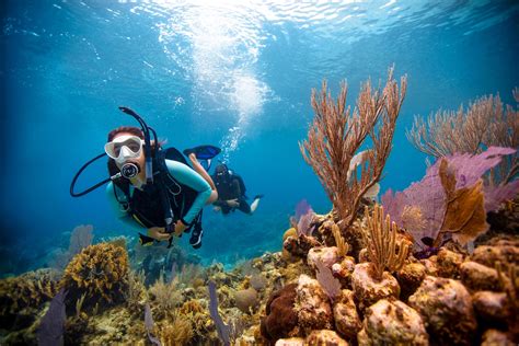 bio scuba diver trainer information scuba obsession