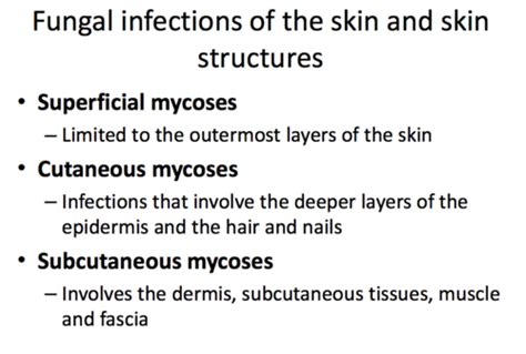 Micro Cutaneous And Subq Mycoses Flashcards Quizlet