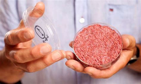 Artificial Meat Made In Space - Neatorama