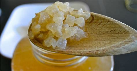 Морской рис