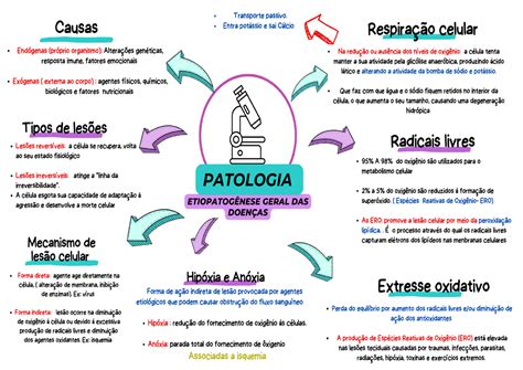 Pdf Estudos Patologia Geral Patologias Studocu