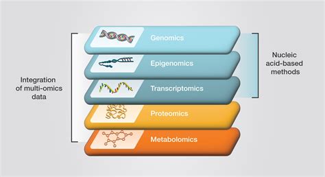 Supporting Multi Omics Approaches Thermo Fisher Scientific Cn