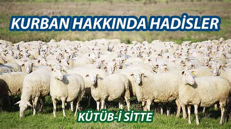 Kurban Hakk Nda Hadisler Brahim Zeren Youtube