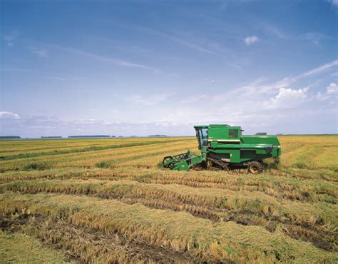 Efici Ncia Operacional Na Colheita Revista Cultivar