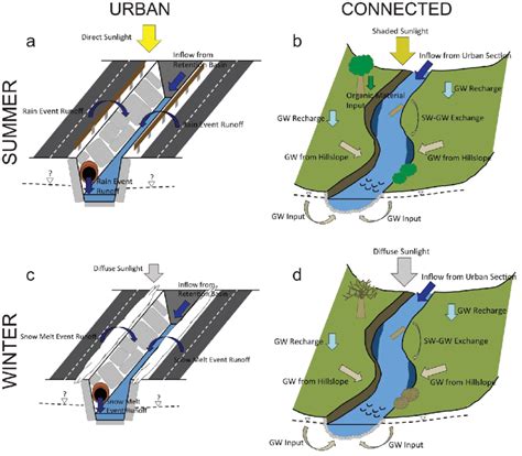 Conceptual Model Of How Seasonality And Surface Water Groundwater