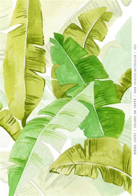 Banana Leaves Pattern Colors On Paper Hand Painted Watercolor 2016