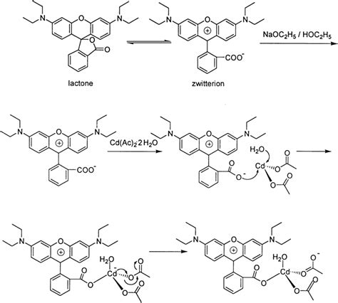 Reaction mechanisms of the complex. | Download Scientific Diagram