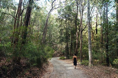 Blue Mountains National Park | Riparide