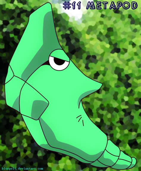 Metapod By Bluepelt On Deviantart