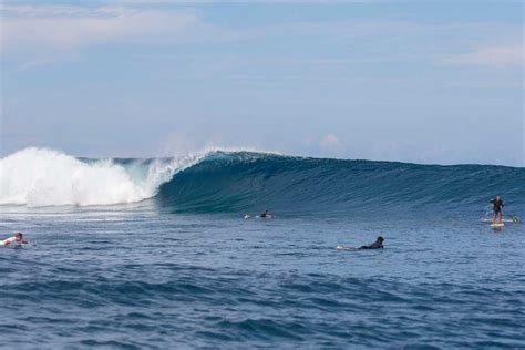 Gallery | Namotu Island Fiji