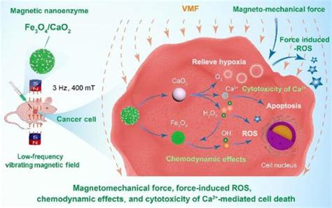 Ca Nano Research