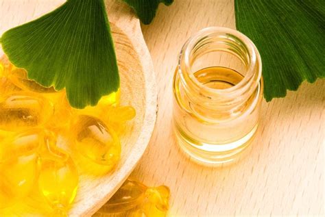 Ginkgo Biloba Sus Principales Beneficios Para La Salud